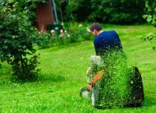 Kwikfynd Lawn Mowing
monashsa